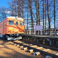 北海道旅遊🥳十勝幸福駅🥳幸運交通公園💘