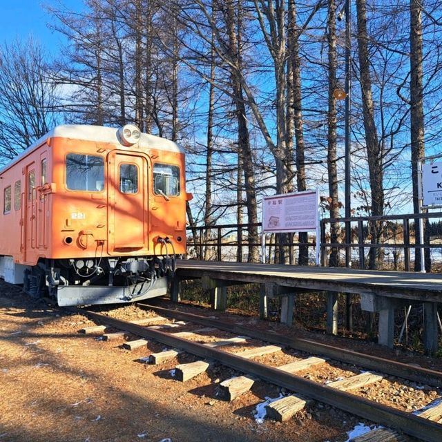 北海道旅遊🥳十勝幸福駅🥳幸運交通公園💘