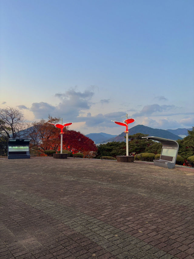 돌산대교를 바라보며 여수 야경을 볼 수 있는 곳💕