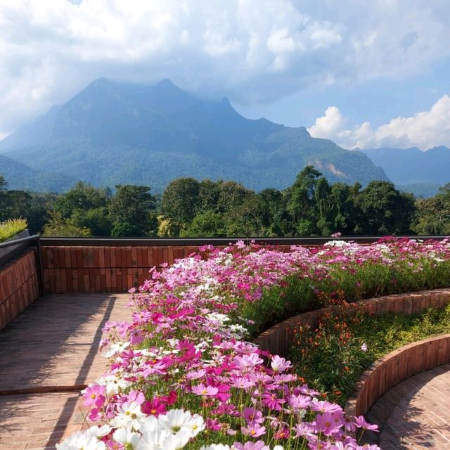 TATA Chiang Dao Cafe @ เชียงดาว