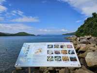 香港的首批海岸公園