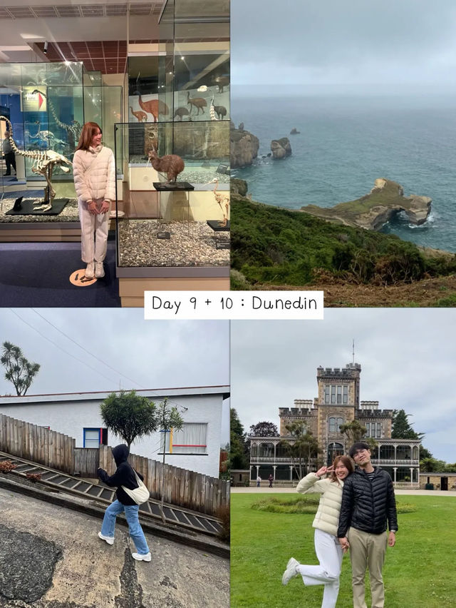 แจกแพลน New Zealand เกาะใต้ 15 วัน 🚐🏔️🇳🇿