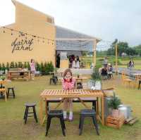 เที่ยวเขาใหญ่ 2 วัน 1 คืน แจกพิกัดคาเฟ่ที่พักกิน