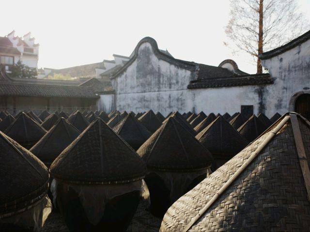 探索烏鎮西柵：中國最美水鄉古鎮的旅遊指南