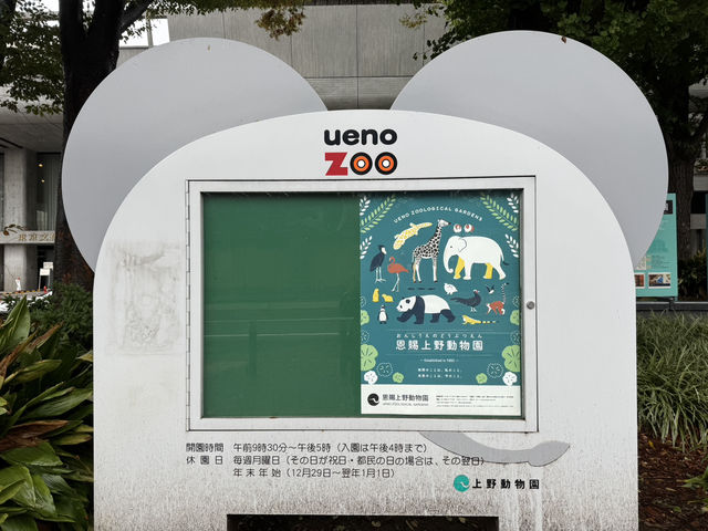 東京 - 上野動物園的奇妙之旅 🦁🐼 東京 - 上野動物園的奇妙之旅 🦁🐼