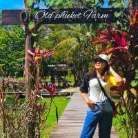 Old Phuket Farm