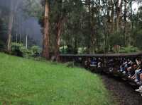 探索澳洲的懷舊之旅：Puffing Billy 小火車 🚂✨