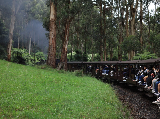 探索澳洲的懷舊之旅：Puffing Billy 小火車 🚂✨