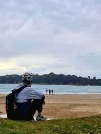 와이헤케섬에서의 힐링 - Little Oneroa Beach🇳🇿