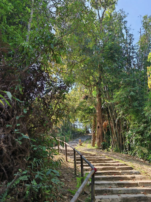 Into the Wild: Camping Adventure at Kaeng Krachan National Park 