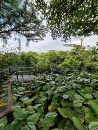 Best Hotel Facilities At Sofitel Sentosa
