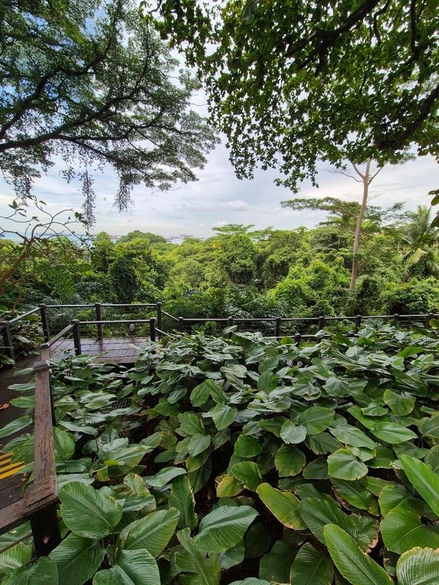 Best Hotel Facilities At Sofitel Sentosa