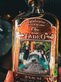 【メキシコ】お酒好きには堪らない！本場のテキーラを🍸