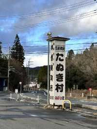 【滋賀】信楽に来たらたぬきがオススメ