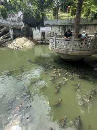 Discover Penang : A Feast of History and Flavour 