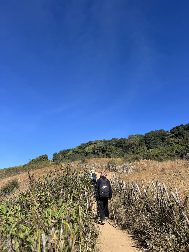 徜徉自然：茵他儂國家公園健行