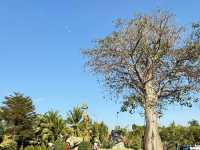 Queen Sirikit Botanic Garden 