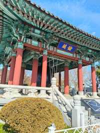 Sky High Serenity: Discovering the Charm of Busan Tower