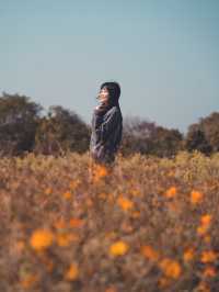 放假郊外走走 ～ 塱原自然生態公園  