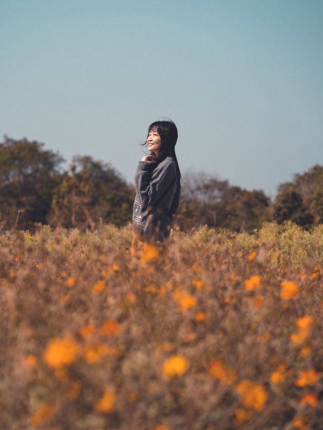 放假郊外走走 ～ 塱原自然生態公園  