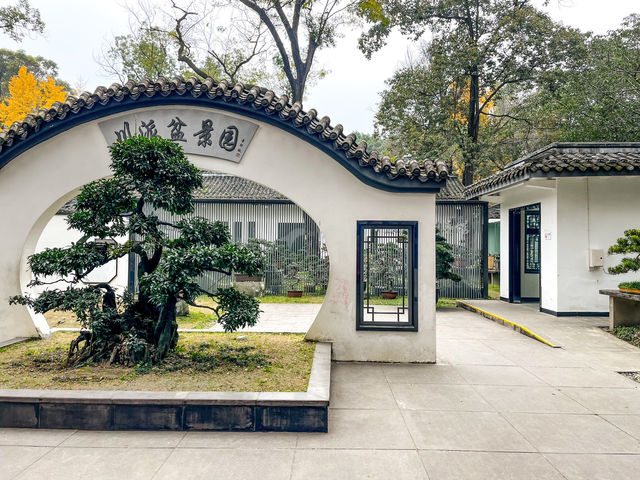 百花潭公園...청두