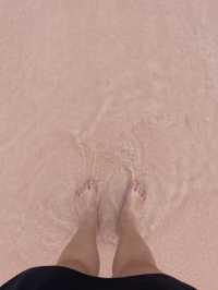 A Visit to Pink Beach on Padar Island: A Must-See Wonder! 🏖️🌸