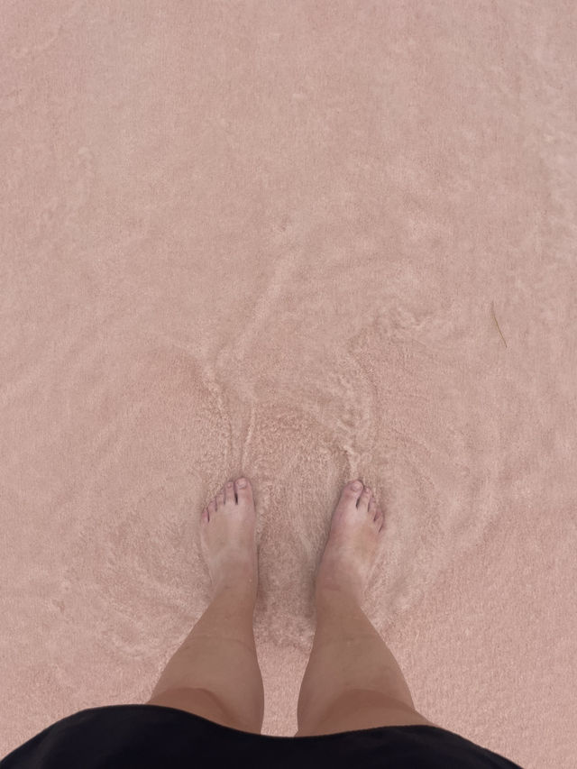 A Visit to Pink Beach on Padar Island: A Must-See Wonder! 🏖️🌸