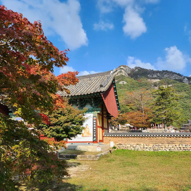 来蘇寺 