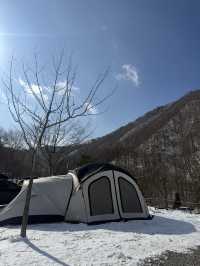 호텔시설 프리미엄 캠핑장