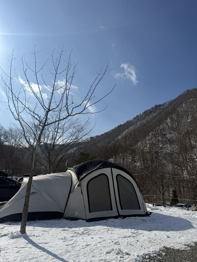 호텔시설 프리미엄 캠핑장