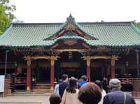 🇯🇵 東京超美杜鵑花神社🌺 🎐