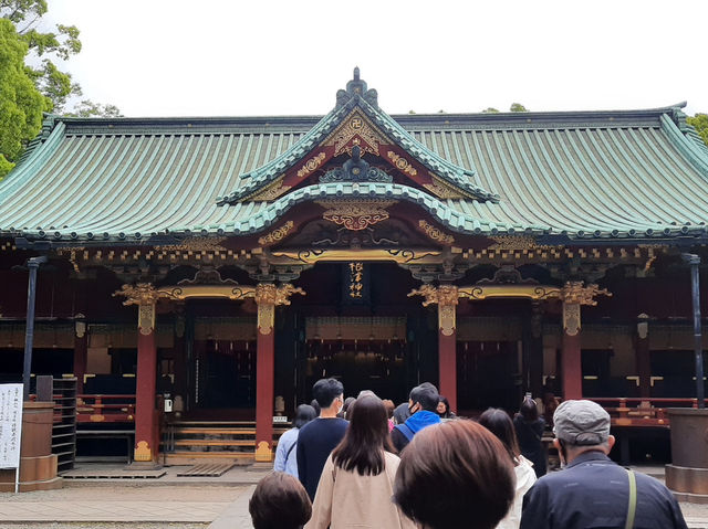 🇯🇵 東京超美杜鵑花神社🌺 🎐