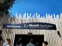 Moonlit Sanctuary: A Magical Wildlife Encounter