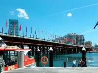 Sydney Darling Harbour: Where the City Comes Alive