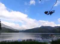 Mattupetty Dam