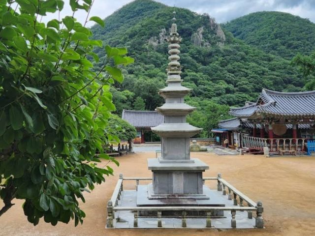 釜山長安寺，山林溪谷中的千年古剎