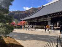 14th Century Garden in the Tenryu-ji Temple in Arashiyama