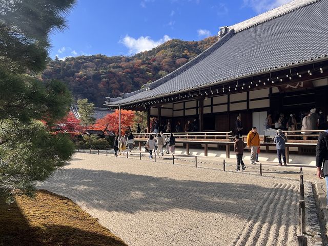 14th Century Garden in the Tenryu-ji Temple in Arashiyama