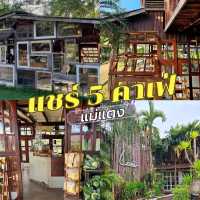 🛖5 คาเฟ่แม่แตง สไตล์บ้านสวน ใกล้ชิดธรรมชาติ