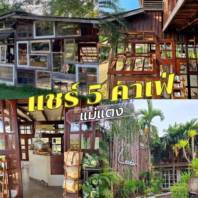 🛖5 คาเฟ่แม่แตง สไตล์บ้านสวน ใกล้ชิดธรรมชาติ