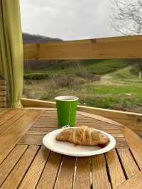 Small but cozy tea plantations in Sochi