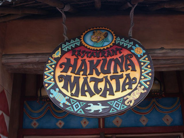 Disneyland Paris experience 