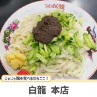 【岩手】盛岡三大麺を味わうのにおすすめのお店3選🍜