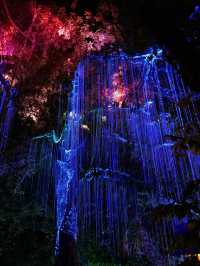 Magical Nights at Penang Avatar Secret Garden! ✨