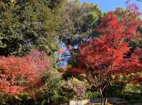 上野一日散策！　寛永寺