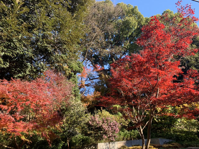 上野一日散策！　寛永寺