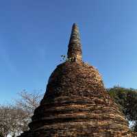 タイ旅行🇹🇭アユタヤ遺跡と像乗り体験