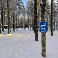 Discover the magic of Santa’s Village 
