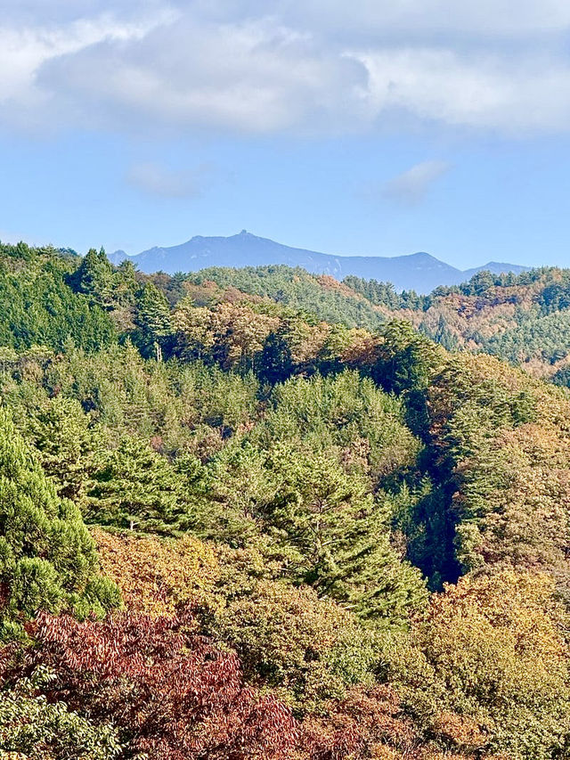 【山梨県】金峰山と富士山の遥拝所