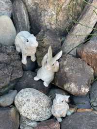 【名古屋×三輪神社】うさぎで有名な神社